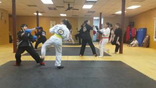 Shotokan Karate sparring [upl. by Ahsiekan760]