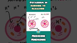 Potassium levels in Acidosis vs Alkalosis  Hypokalemia vs Hyperkalemia NEET PGNCLEX INICETUSMLE [upl. by Tench289]