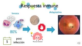 Toxocara cati [upl. by Waltner]