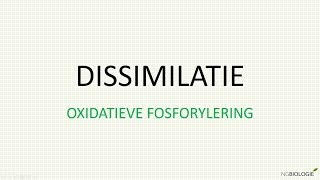 Dissimilatie  oxidatieve fosforylering [upl. by Santoro]