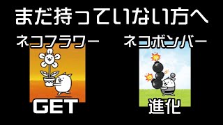 「にゃんこ大戦争」ネコフラワーGET方法・ネコボンバー進化方法 193 [upl. by Dera]