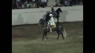 Caballos Bailadores Feria Ganadera Culiacan [upl. by Jariah681]