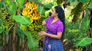 Delicious sweets from my fathers banana harvest  Poorna  The nature girl [upl. by Blaire]