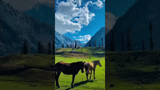 Come lets go😉 shorts youtubeshorts trending travel explore nature kashmir [upl. by Yntruoc]