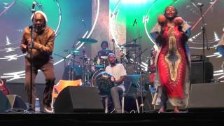 Thomas Mapfumo  Mapungubwe Jazz amp Heritage Festival South Africa 2015 [upl. by Illac540]