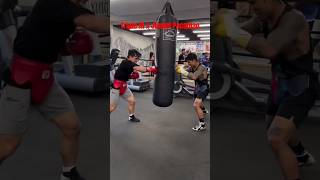 Jimuel Pacquiao And Mark Magsayo Boxing Training [upl. by Tacy]