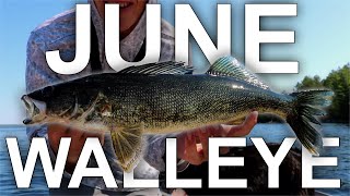 Walleye Bite Tough TRY THIS [upl. by Dnumsed]