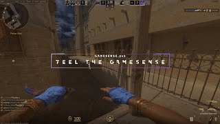 cs2 11 ft gamesensepub [upl. by Aillij]