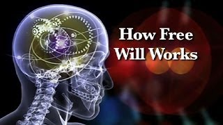 How Free Will Works [upl. by Yuu]