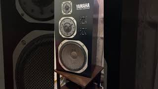 YAMAHA NS1000M 1 [upl. by Cand680]