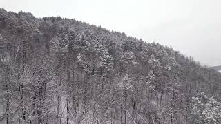 Aerial Drone View Above Mountain Winter Forest FREE STOCK VIDEO [upl. by Hemphill]