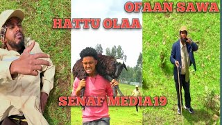 OFAAN SAWA NEW AFAN OROMO COMEDY2024 shawangizaw [upl. by Yajeet]