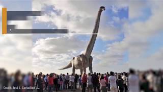 70Ton Titanosaur Becomes Worlds Largest Dinosaur [upl. by Oman]