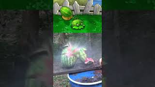 Melon Pult React to quotHot Watermelon Compilationquot 1 PVZ pvz plantsvszombies [upl. by Gaw]