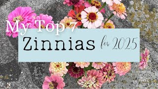 44 Top 7 Zinnias to Grow for 2025 Varieties Heirloom Leaves and Seeds Planning Garden Gardening [upl. by Ainak]