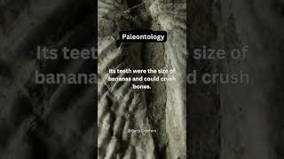 Science Fact  Paleontology  Science 12  shorts science facts paleontology viral [upl. by Skerl]