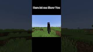 Endermans Ominous Sound Effects Reversed minecraft [upl. by Cam]