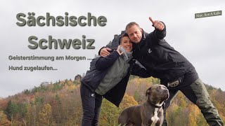 V37 Kurztrip Sächsische Schweiz Sachsen Camping mit Wohnmobil amp Hund zwischen Pirna amp Bad Schandau [upl. by Ynaffat]