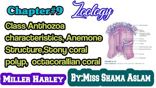 Ch9 Class Anthozoa characteristics Anemone StructureStony coral polyp octacorallian coral [upl. by Cindi]