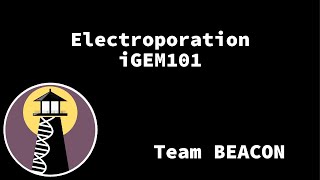 iGEM101 Lab How to do electroporation shorts biology igem [upl. by Scarrow]