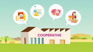 Whats an agricultural cooperative [upl. by Juliane]