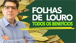 Folhas de Louro para que serve e seus benefícios  Dr Juliano Teles [upl. by Naret784]