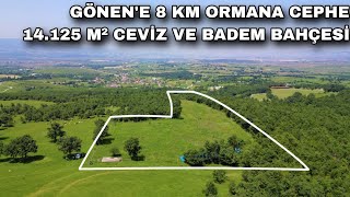 1752 GÖNENE 8 KM MESAFEDE ORMANA CEPHE 14125 M² CEVİZ VE BADEM BAHÇESİ [upl. by Oam]