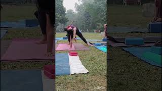 10 Min Yoga for Chest and Shouldersshoulderworkout ytshorts fatloss yogaeverday [upl. by Olihs]