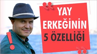 YAY ERKEĞİNİN BAŞLICA ÖZELLİKLERİ NELERDİRYAY ERKEĞİ İLE İLİŞKİ YAŞARKEN NELERE DİKKAT ETMELİSİNİZ [upl. by Peony604]