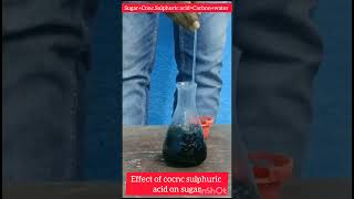 Effect on sugar of concnsulphuric acidpractical [upl. by Alleuol]