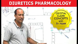 Diuretics  Pharmacology  Dr Najeeb [upl. by Laris]