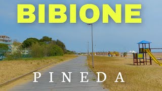 Bibione Italien Pineda to Zenith [upl. by Onder885]