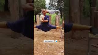 Shaolin Monk Fight facts historical truefacts shortsvideo [upl. by Zarah]