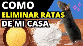 Como puedo ELIMINAR RATAS de mi Casa [upl. by Ees]