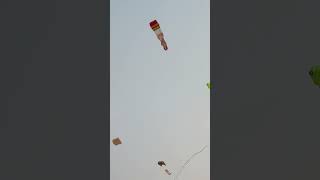 International Kite Festival 2024 Riverfront Ahmedabad  Kite Festival  Kite Flying [upl. by Einaj]