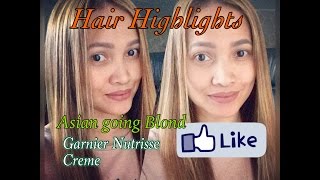 How to apply Hair Highlights Garnier Nutrisse Creme [upl. by Shanney]