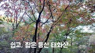 4K 가을산행  태화산  짧은등산  쉬운등산  경기도 광주시 등산코스  시험관등산  부부등산 [upl. by Moulden]