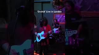 Basharan’s ‘Orchid’ Live in London london guitarist newmusic alternativerock viralvideo love [upl. by Yelrihs]