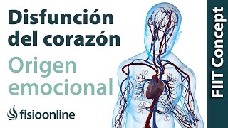 Origen emocional de la disfunción del corazón y sistema cardio circulatorio [upl. by Jamima]