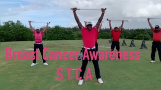 Marvelous Motivations Breast Cancer Awareness Part 2 [upl. by Leuqcar100]