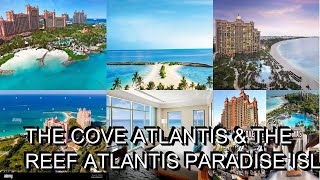 The Cove Atlantis amp The Reef Atlantis Paradise Island Bahamas [upl. by Iris]