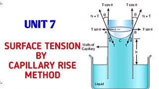 Surface tension by capillary rise method  Unit 7 Properties of matter  11 Physics Samacheer kalvi [upl. by Ahsia]