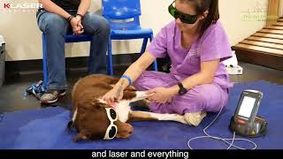 K Laser  Dr Malcolm Ware  Veterinarian  Melbourne [upl. by Hakkeber951]