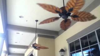 Concord Fernleaf Breeze Ceiling Fans [upl. by Llenyt]