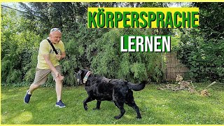 Mit Körpersprache zum Hundeflüsterer 13 [upl. by Aylmar311]