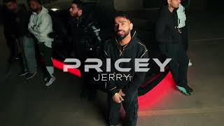 Pricey 8d Jerry musicapplier8d punjabisinger newpunjabisong sidhumoosewala jerry punjabisong [upl. by Laraine]