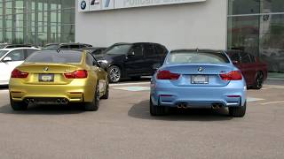 BMW M Performance Exhaust vs Stock Exhaust [upl. by Clovis60]