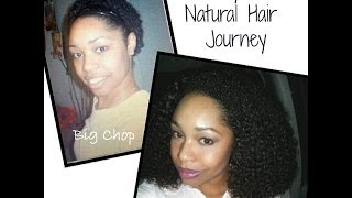 My Natural Hair Journey [upl. by Ylnevaeh309]