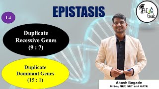 Genetics Duplicate Recessive and Duplicate Dominant Epistasis BScMSc SPPU Life Science [upl. by Dino]