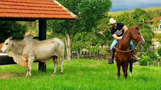 Eduardo Costa final de semana na fazenda [upl. by Atiroc899]